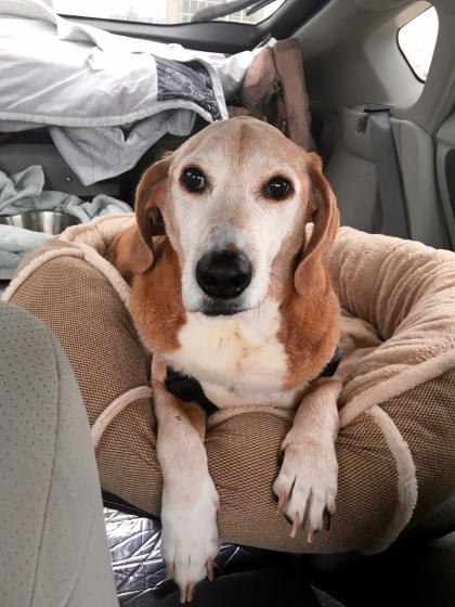 Road trip to Santa Fe, New Mexico