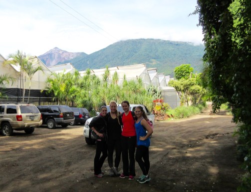 Coffee farm below Acatenango volcano, Antigua, Guatemala