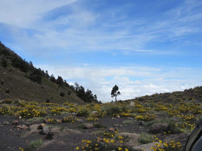 Above the clouds atop of Acatenango in Antigua, Guatemala