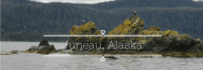 Eagles while whale watching in Juneau, Alaska