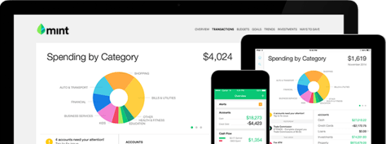 Mint budget software