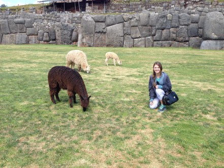 Hanging with some alpacas in Peru