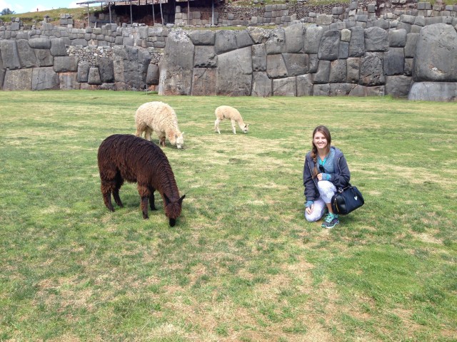 Hanging with some alpacas in Peru