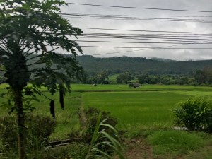 The view while driving to the Elephant Jungle Sanctuary in Chiang Mai, Thailand