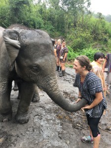 Elephants trying to steal my bananas at the Elephant Jungle Sanctuary outside of Chiang Mai, Thailand