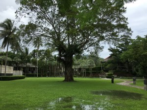 Wandering the grounds at The Slate hotel in Phuket, Thailand