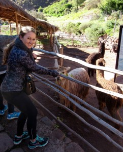 Awana Kancha llama farm, Cusco Peru