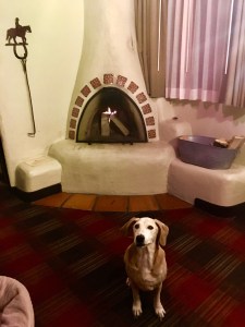 Dakota by the fire at the Sagebrush Inn in Taos, New Mexico