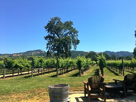 Loxton Winery in Sonoma, California