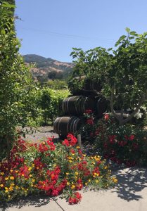 VJB Winery in Sonoma, Ca