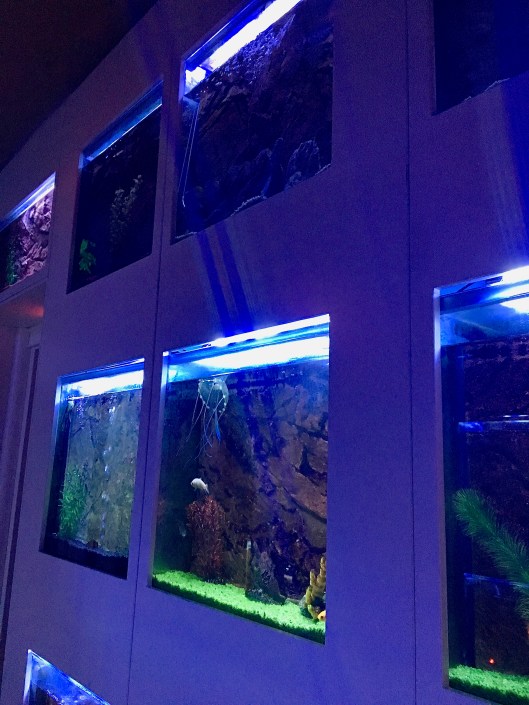 Jelly fish tanks at the Spagna Royal Suites in Rome, Italy