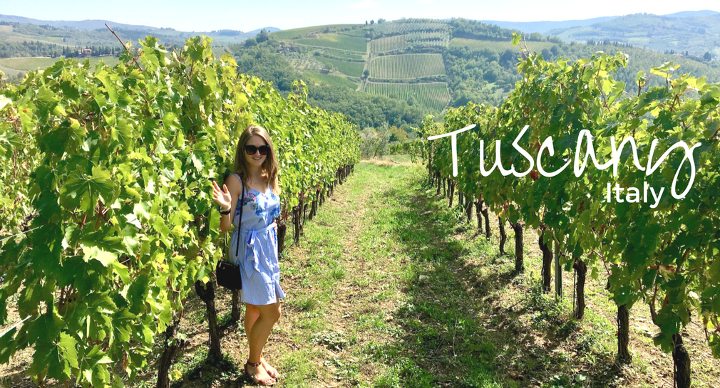 Wandering the vineyards in the Chianti wine region of Italy