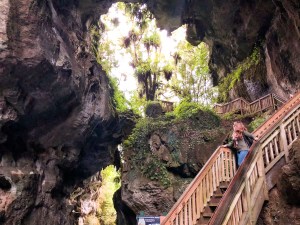 Under the Mangapohue Natural Bridge in New Zealand