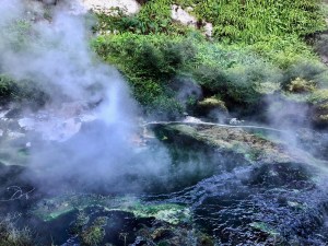 Waimangu Volcanic Rift Valley, New Zealand