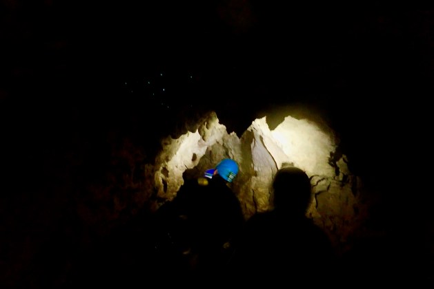 Glow worms in the caves during the Black Labyrinth Tour in Waitomo, New Zealand