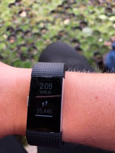 The steps it took to hike the Tongariro Alpine Crossing, New Zealand