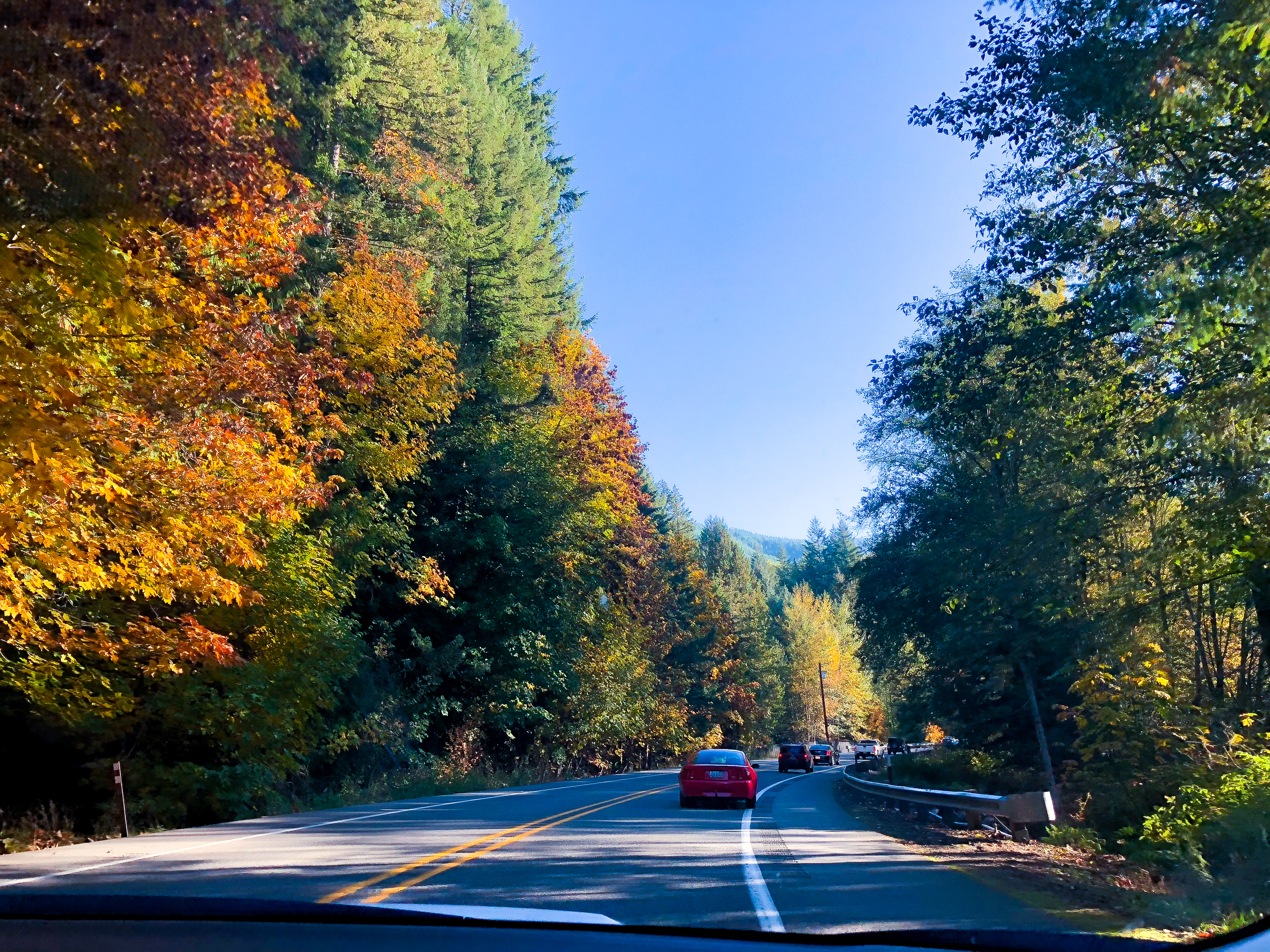 The drive to Mt. Rainier in Washington