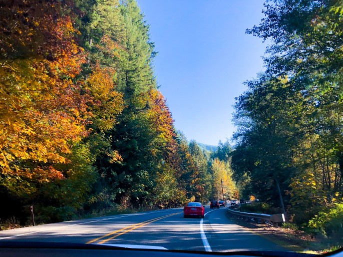 The drive to Mt. Rainier in Washington
