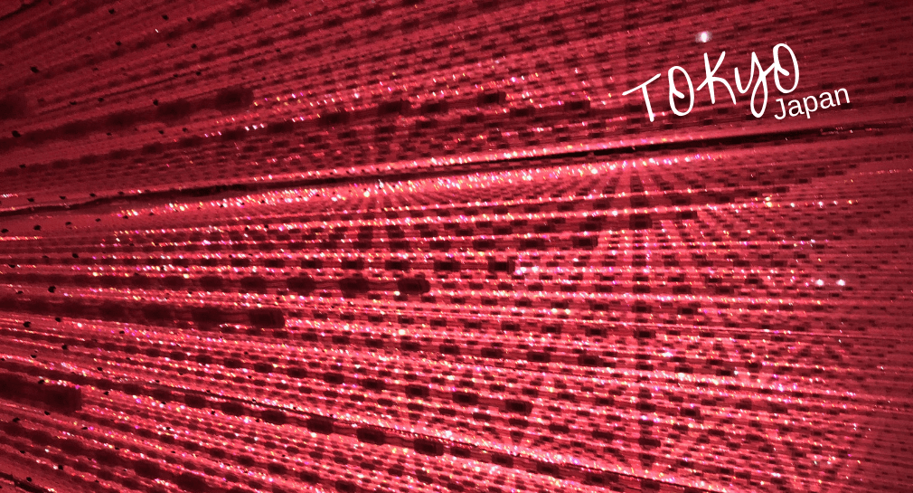 TeamLabs Boarderless, Tokyo Japan